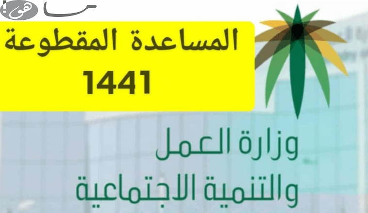 مواعيد نزول الضمان الاجتماعي
