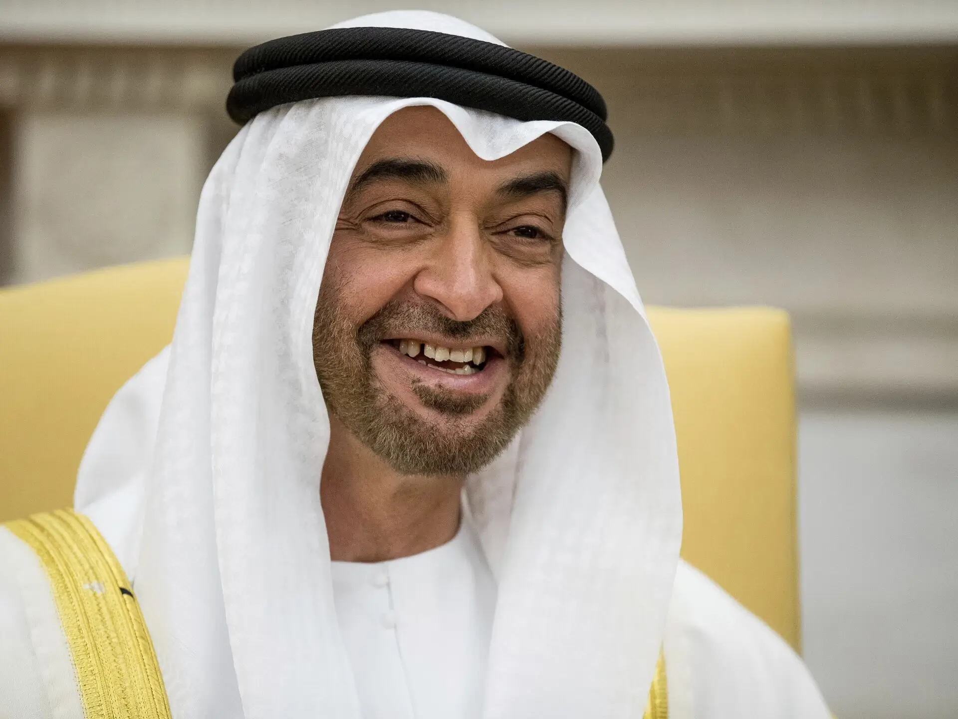 خلفيات الشيخ محمد بن زايد