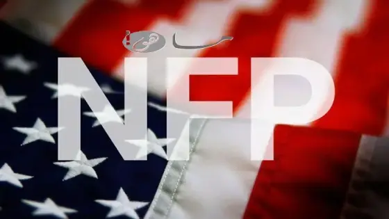 تقرير الوظائف في القطاع غير الزراعي NFP