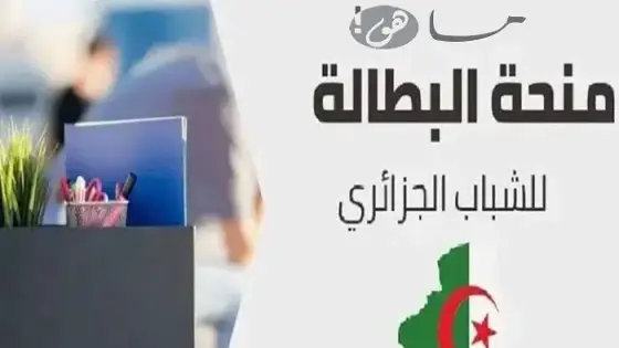 رابط تجديد منحة البطالة 2025 في الجزائر