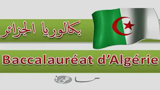 موعد نتائج بكالوريا 2025 الجزائر