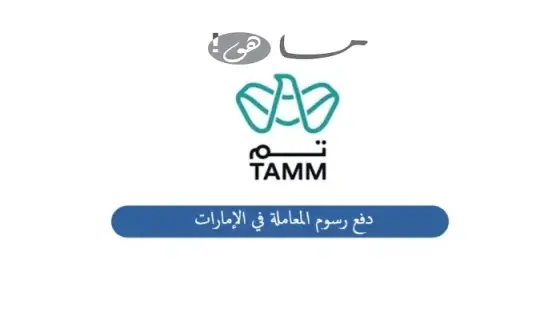 دفع رسوم المعاملة في الإمارات