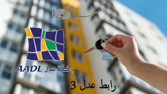 رابط عدل 3