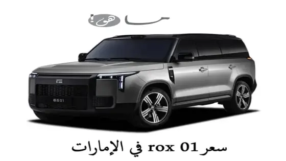 سعر rox 01 في الإمارات