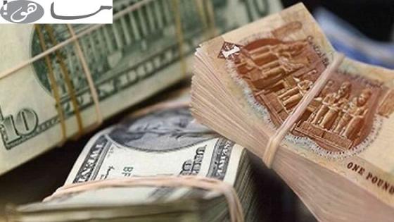 سعر الدولار مقابل الجنيه بالسوق السوداء اليوم