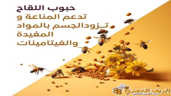 ما هي فوائد حبوب لقاح النحل للجسم