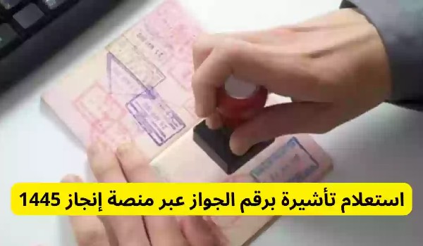 إنجاز استعلام عن تأشيرة برقم الطلب