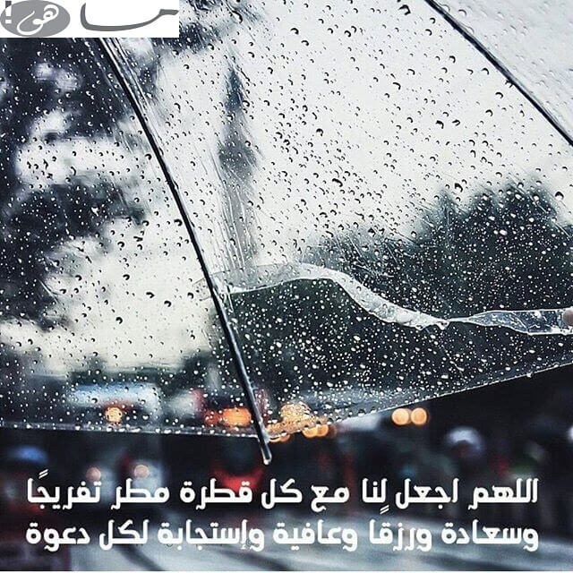 عبارات مطر تويتر