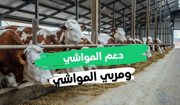 تحديث دعم صغار مربي الماشية