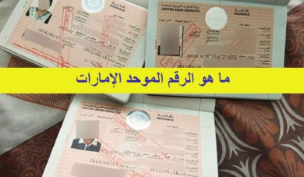 كيف اطلع الرقم الموحد